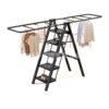 Upgraded Ladder